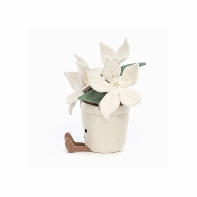 Jellycat Gold Poinsettia UK | 28106AQYK